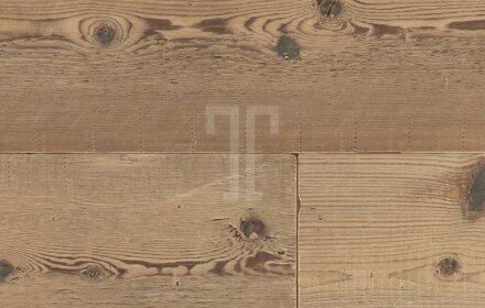 RARE006-Swiss-Stone-Pine