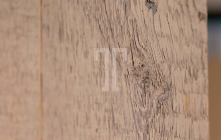 Swiss-stone-pine