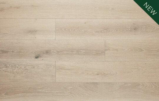 Calico plank new tab