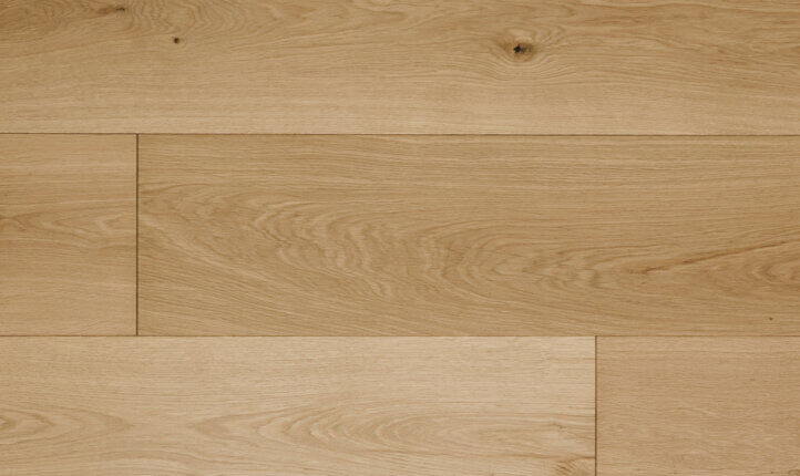 petworth plank, project collection