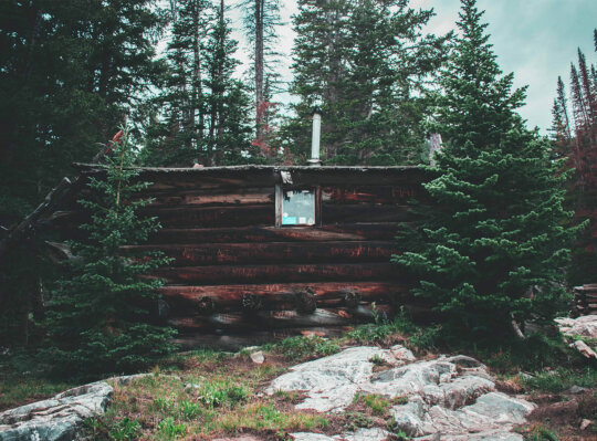 Pine cabin