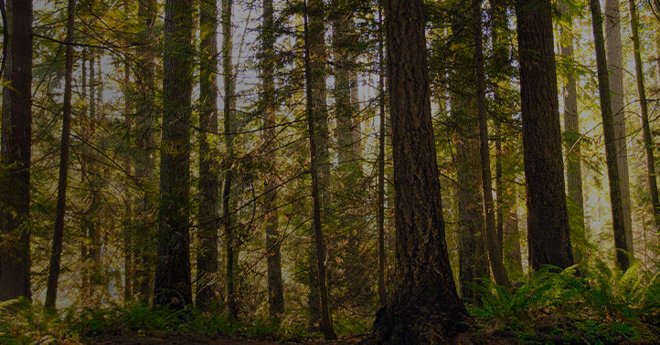 2022 – Our most sustainable year yet