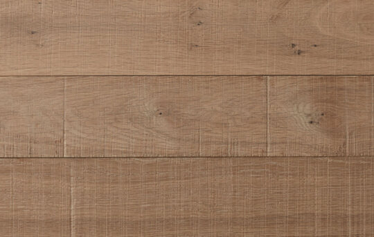 Minette Plank