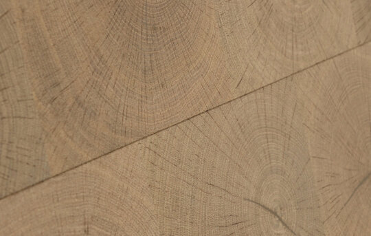 Aquila Plank Parquetry Detailed shot