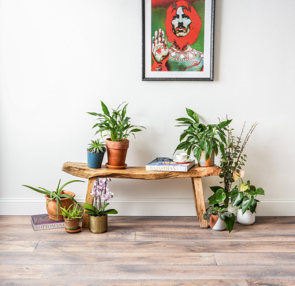 sheringham plank bench with flowers