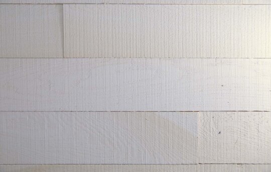 Fossil Plank Detail