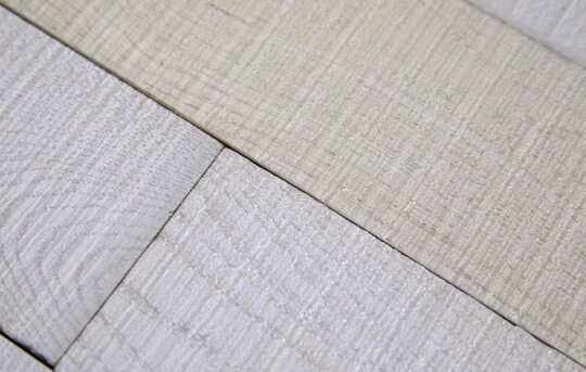 Fossil Plank Detail