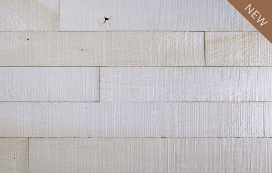 Fossil Plank Swatch