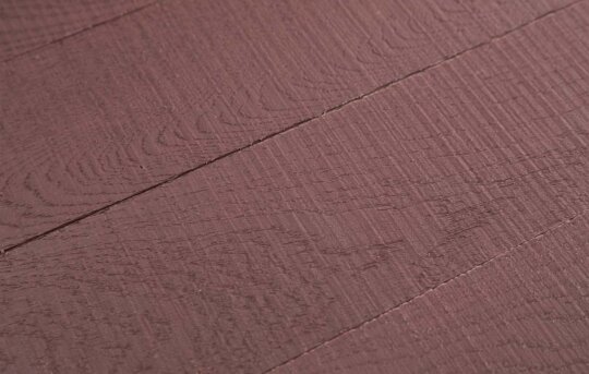 Merlot Detail Close Up