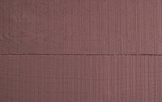 Merlot Detail Close Up