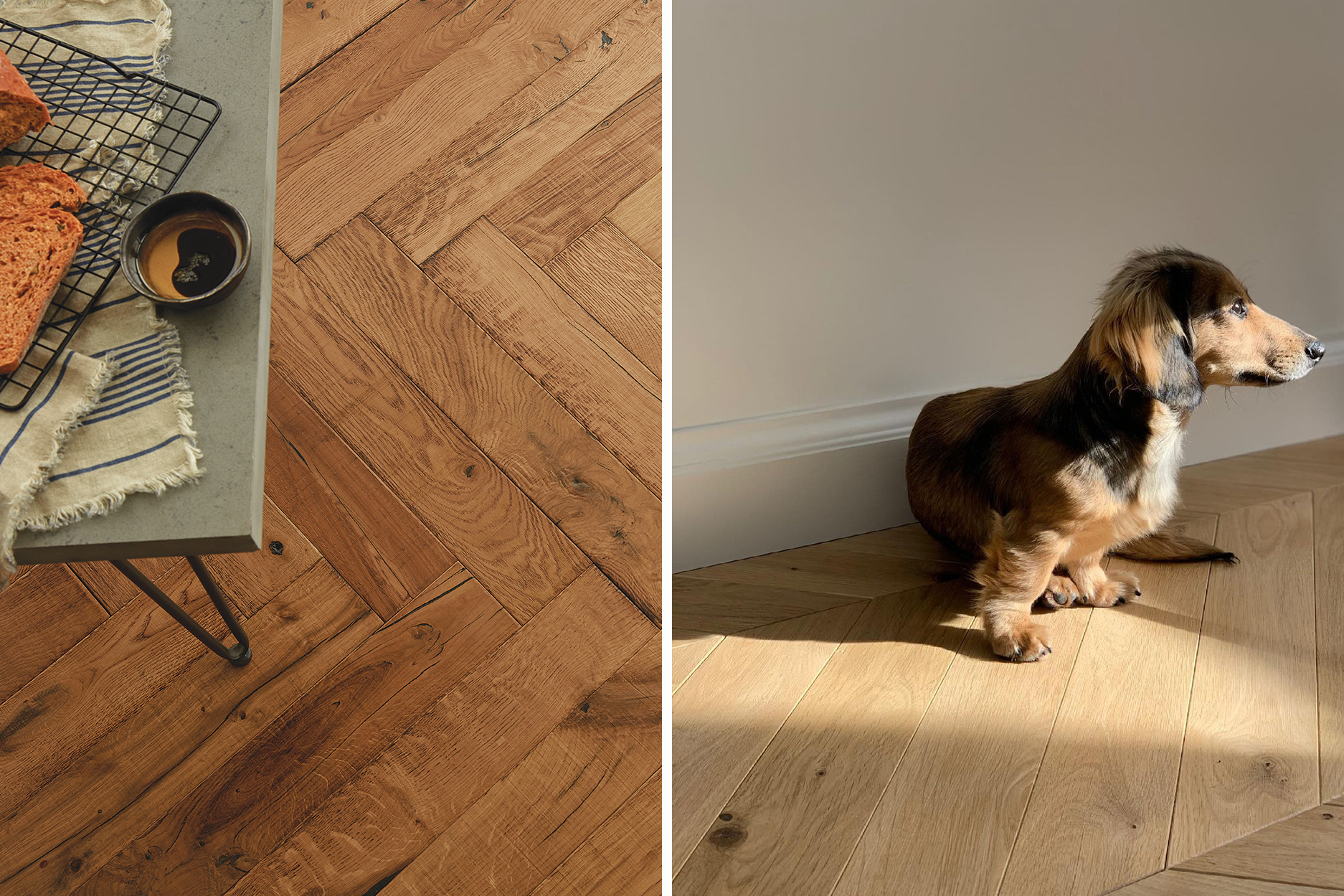 Close up of Standen heringbone from the Crafted Textures collection, and close up of dog on Dunham chevron floor.